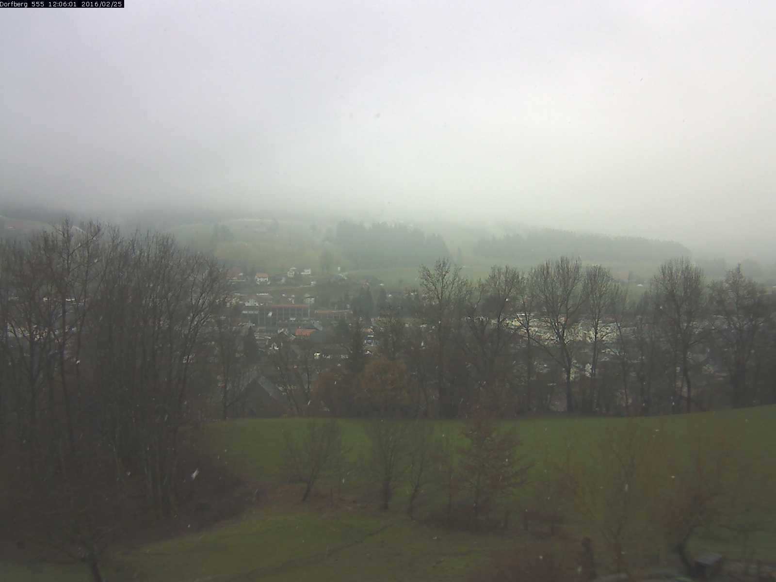 Webcam-Bild: Aussicht vom Dorfberg in Langnau 20160225-120601