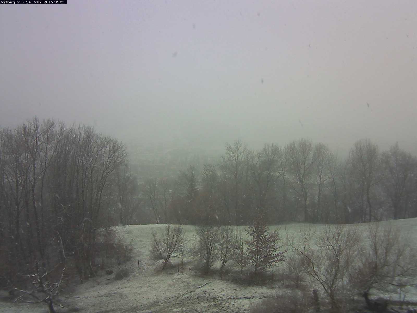 Webcam-Bild: Aussicht vom Dorfberg in Langnau 20160225-140601