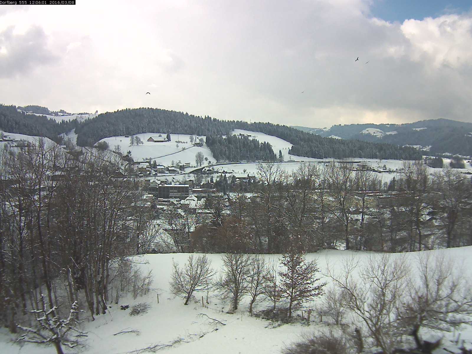Webcam-Bild: Aussicht vom Dorfberg in Langnau 20160308-120601