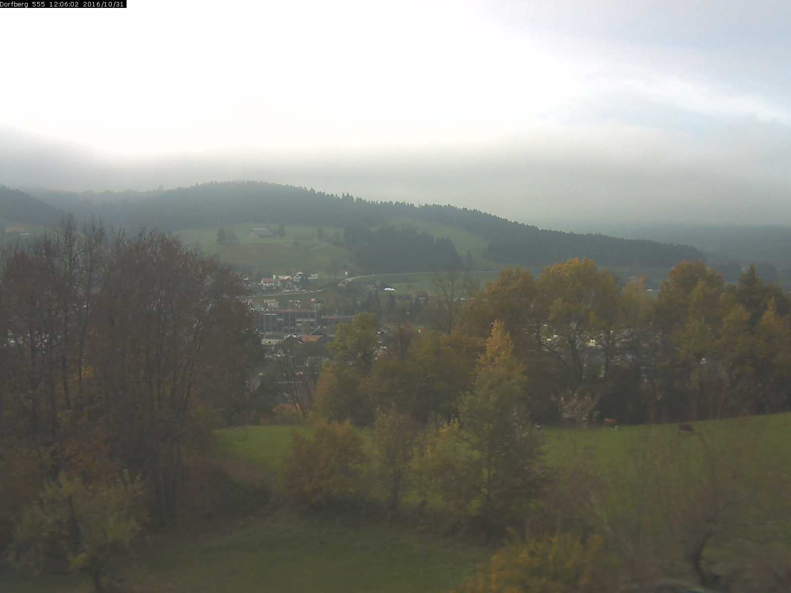 Webcam-Bild: Aussicht vom Dorfberg in Langnau 20161031-120601