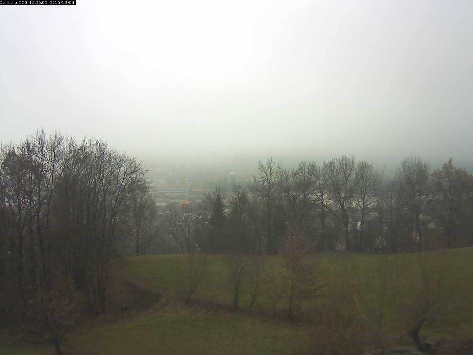 Webcam-Bild: Aussicht vom Dorfberg in Langnau 20161204-120601