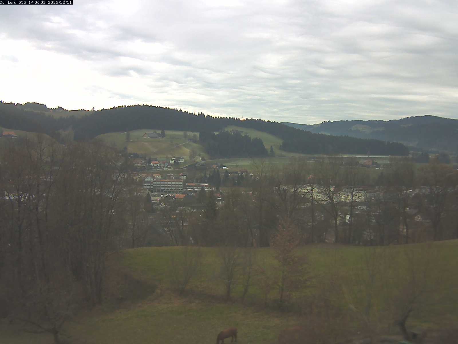 Webcam-Bild: Aussicht vom Dorfberg in Langnau 20161211-140601