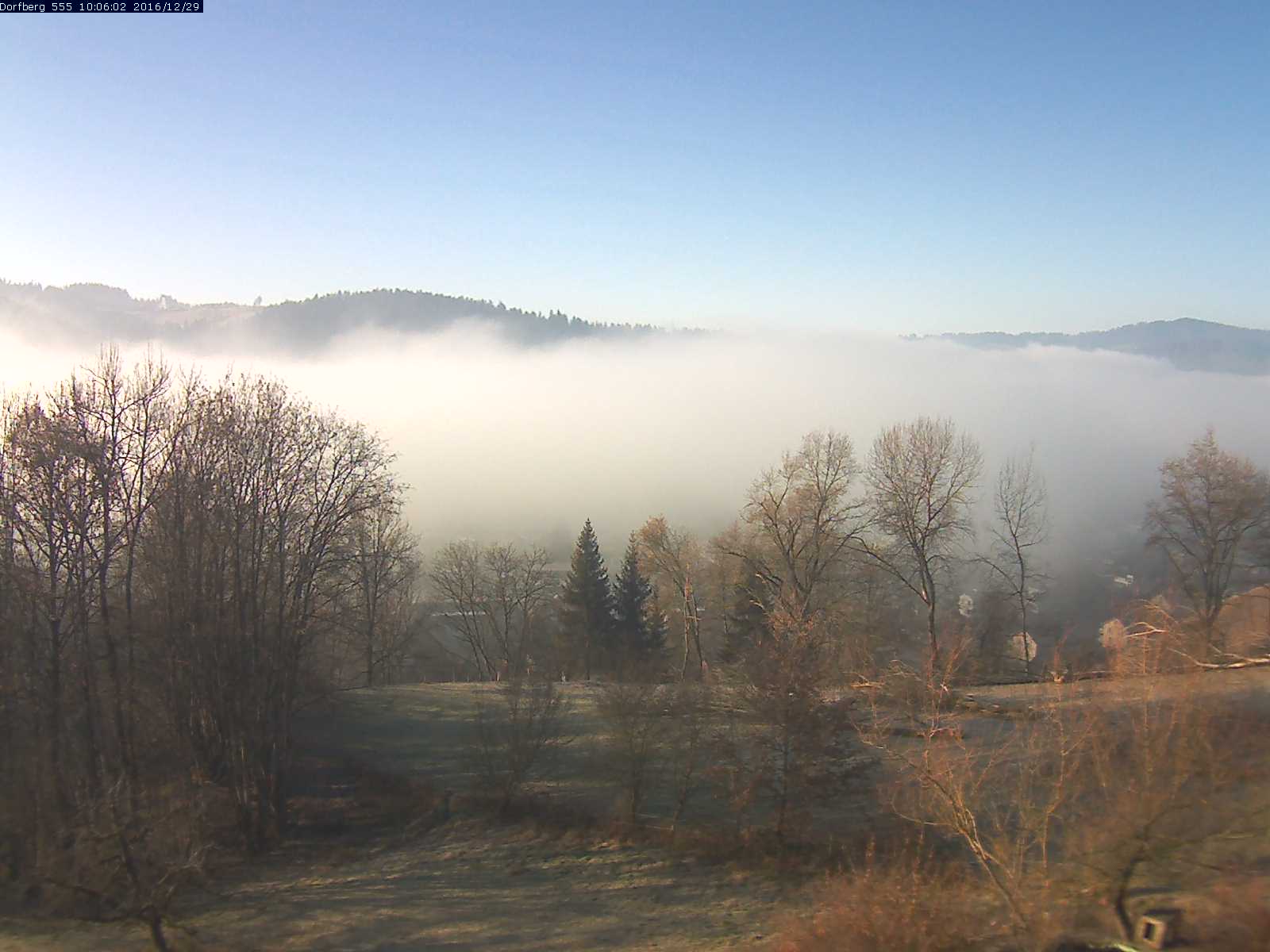 Webcam-Bild: Aussicht vom Dorfberg in Langnau 20161229-100601