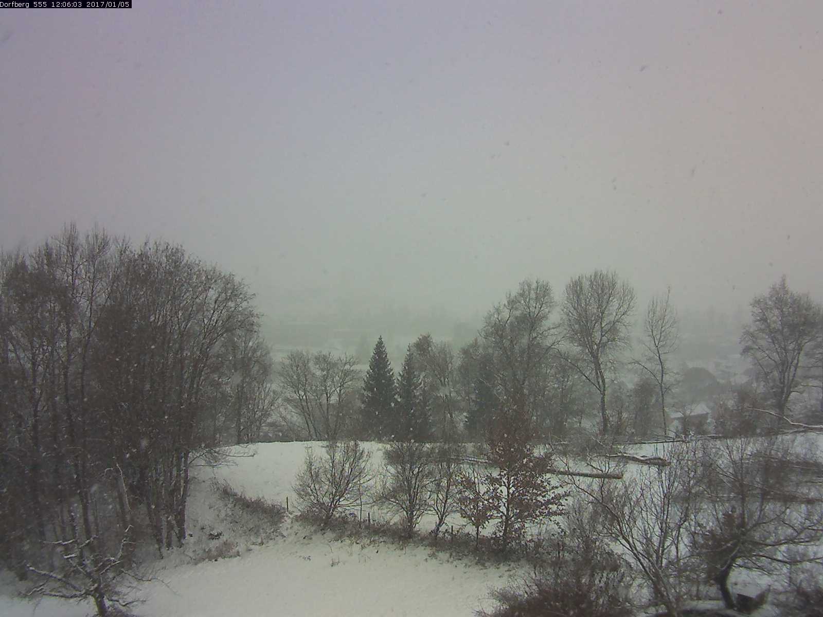 Webcam-Bild: Aussicht vom Dorfberg in Langnau 20170105-120601