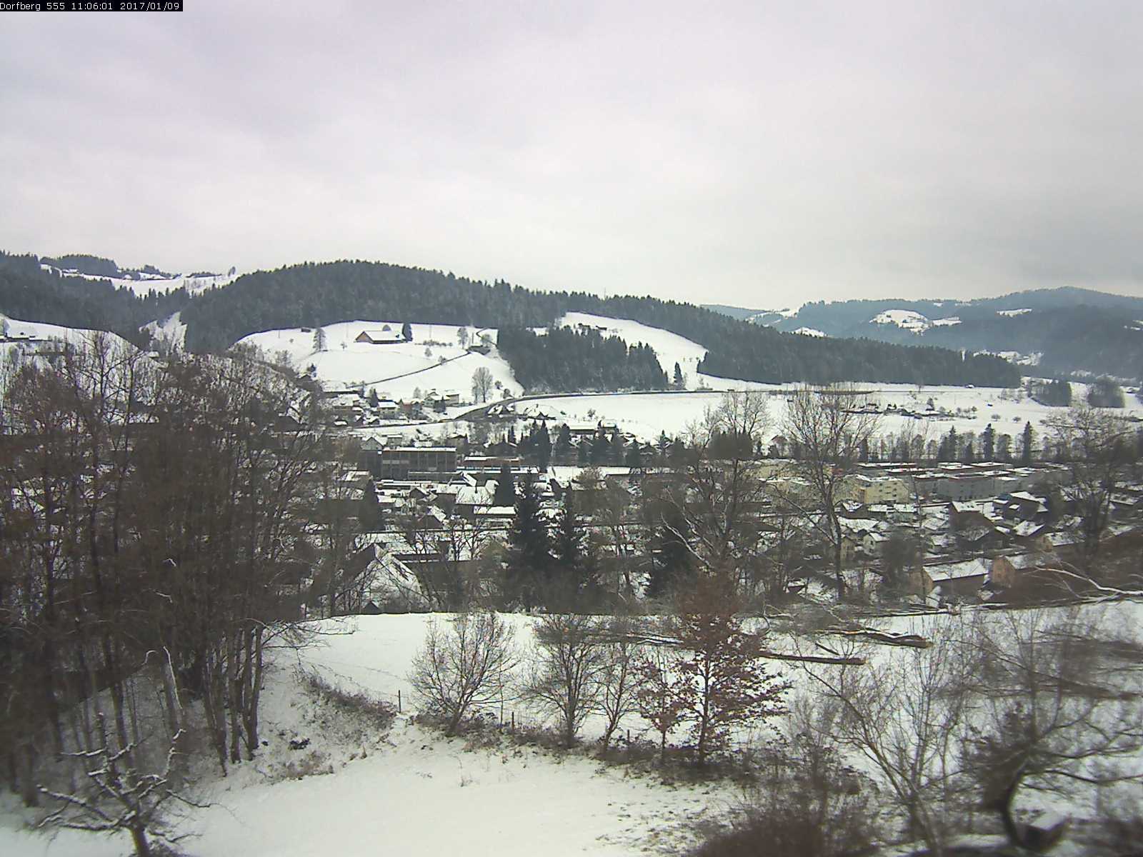 Webcam-Bild: Aussicht vom Dorfberg in Langnau 20170109-110601