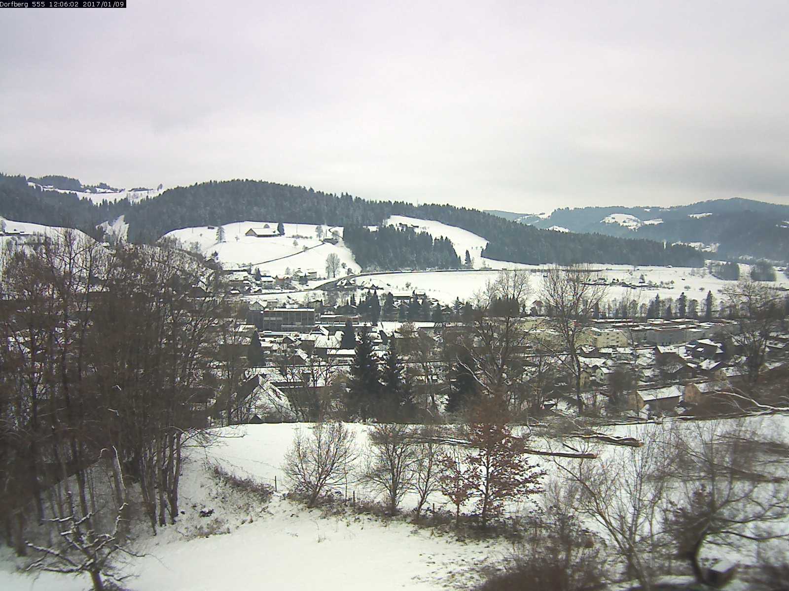 Webcam-Bild: Aussicht vom Dorfberg in Langnau 20170109-120601