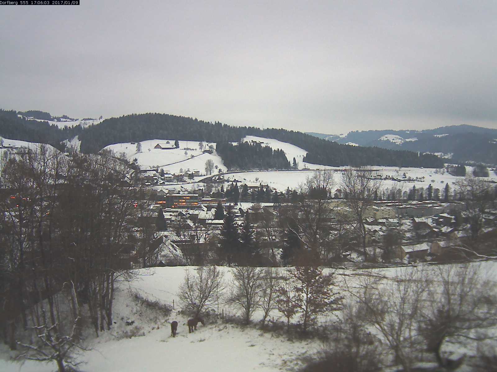 Webcam-Bild: Aussicht vom Dorfberg in Langnau 20170109-170601