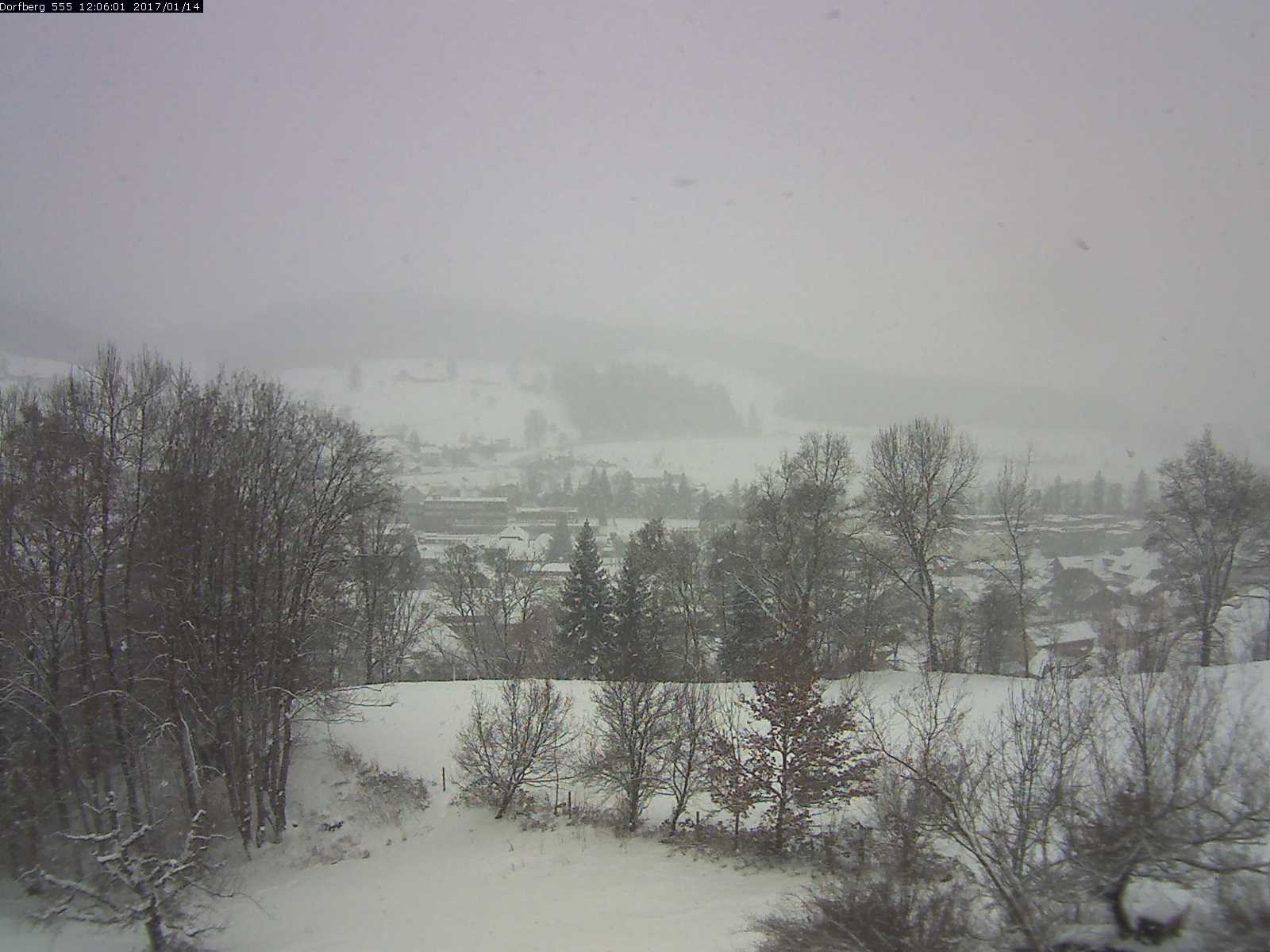 Webcam-Bild: Aussicht vom Dorfberg in Langnau 20170114-120601