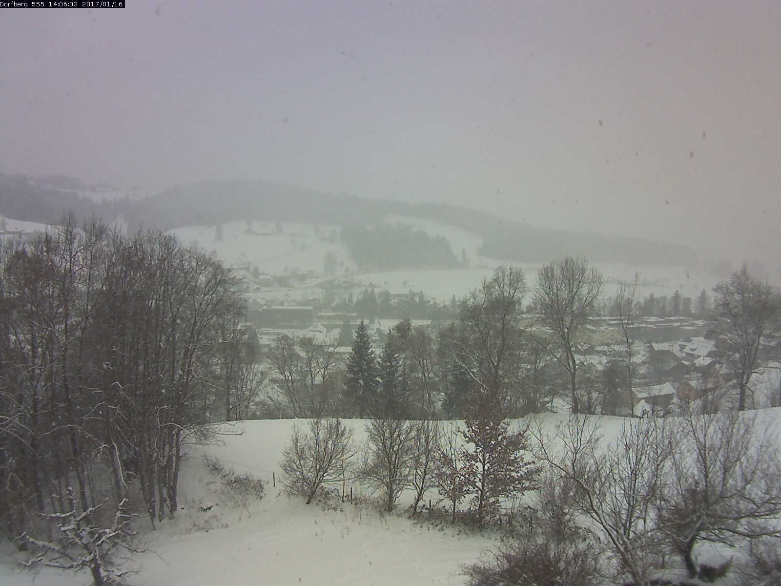 Webcam-Bild: Aussicht vom Dorfberg in Langnau 20170116-140601