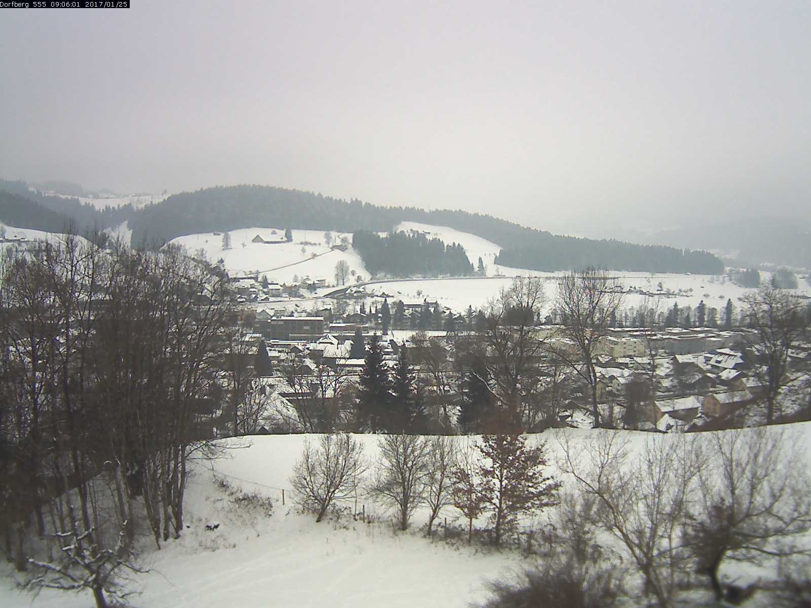 Webcam-Bild: Aussicht vom Dorfberg in Langnau 20170125-090601