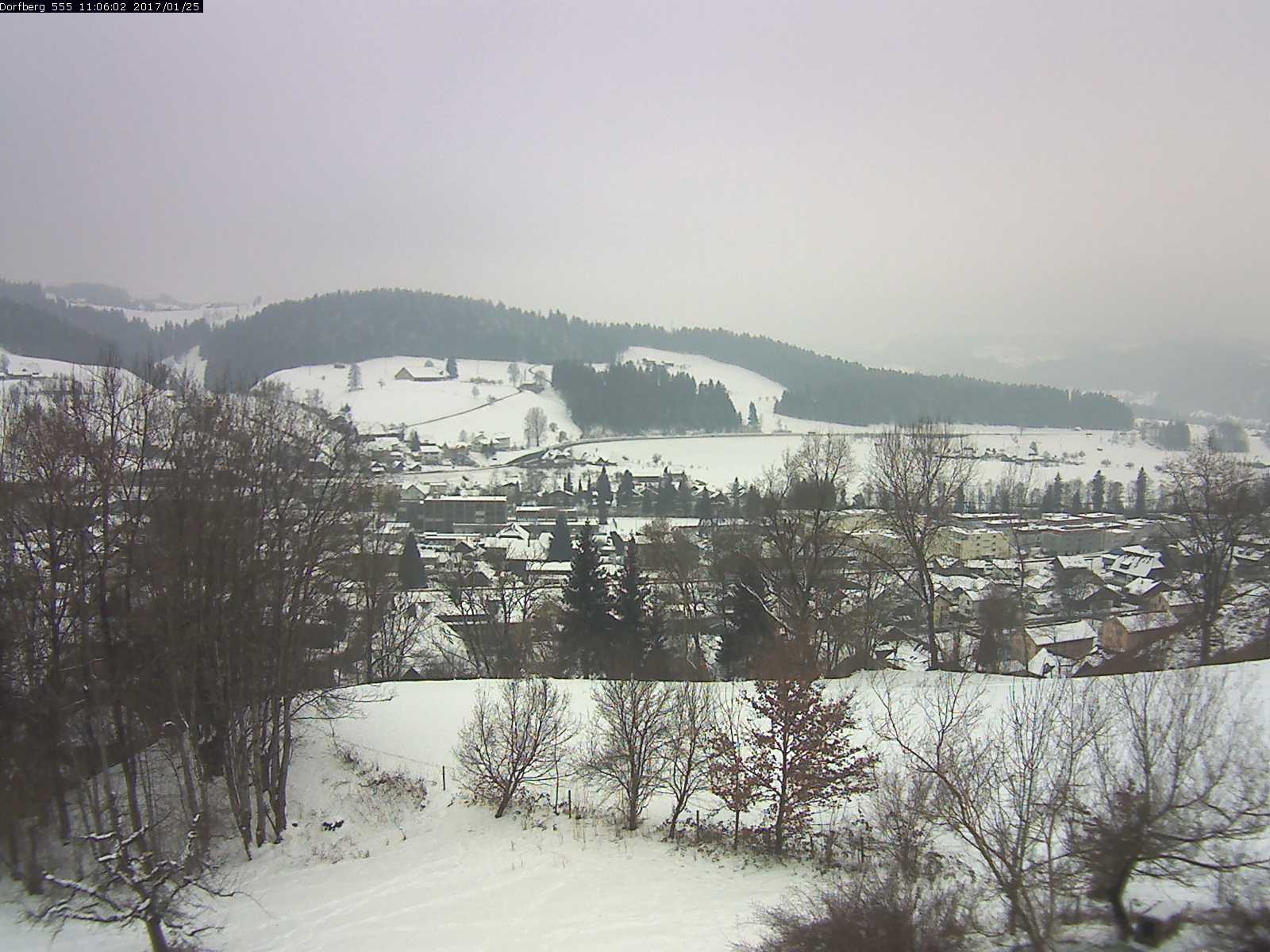 Webcam-Bild: Aussicht vom Dorfberg in Langnau 20170125-110601