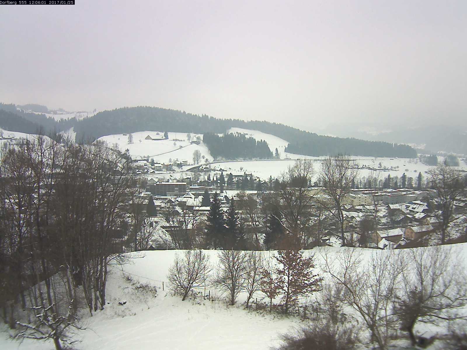 Webcam-Bild: Aussicht vom Dorfberg in Langnau 20170125-120601