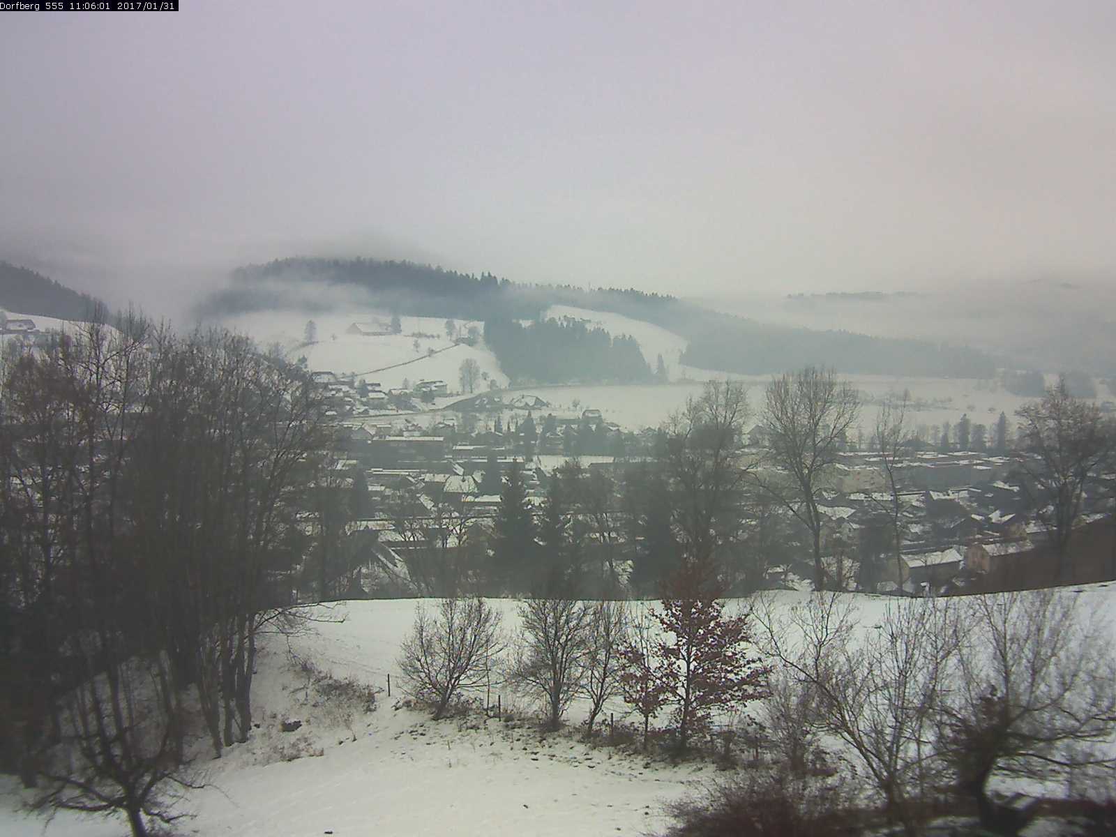 Webcam-Bild: Aussicht vom Dorfberg in Langnau 20170131-110601