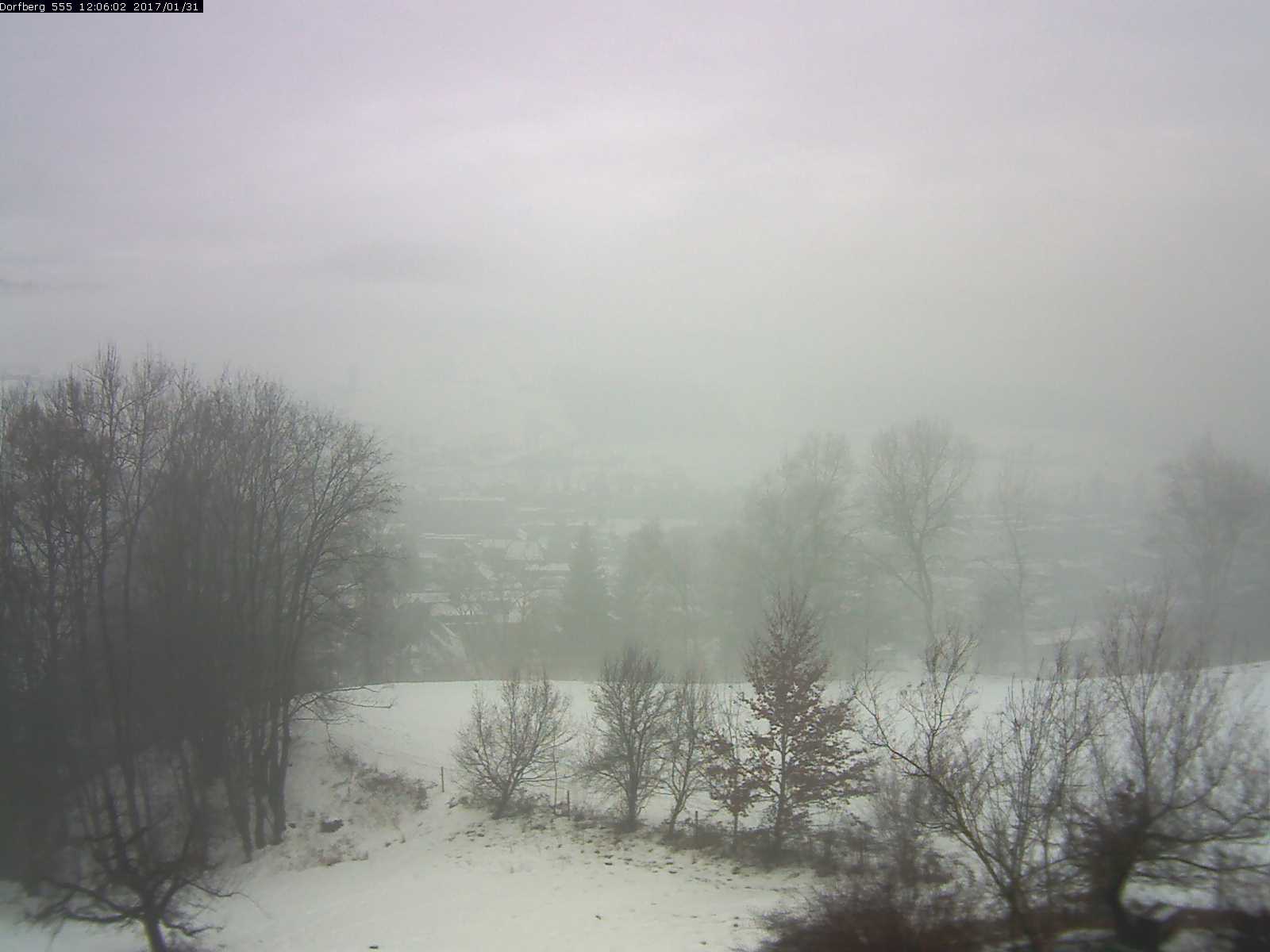 Webcam-Bild: Aussicht vom Dorfberg in Langnau 20170131-120601
