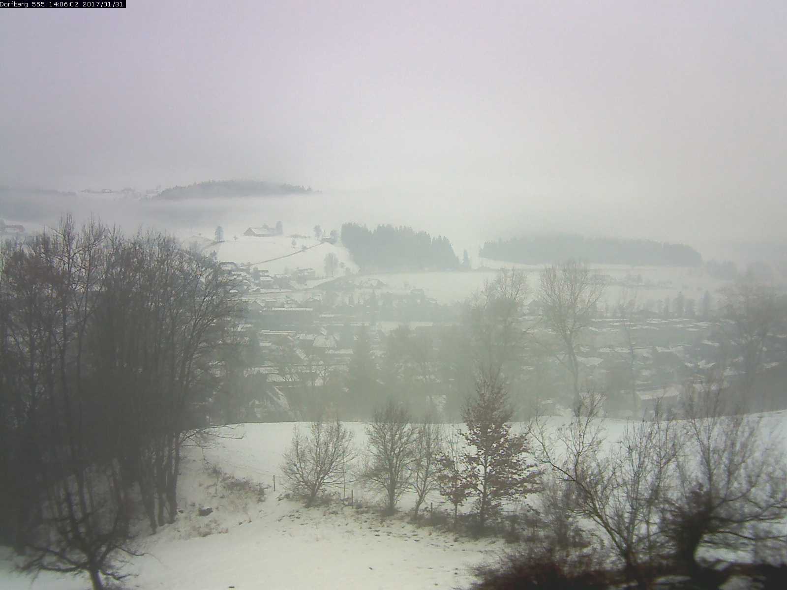 Webcam-Bild: Aussicht vom Dorfberg in Langnau 20170131-140601