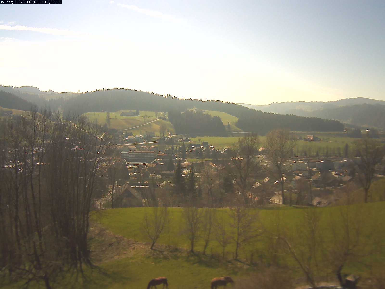 Webcam-Bild: Aussicht vom Dorfberg in Langnau 20170325-140601