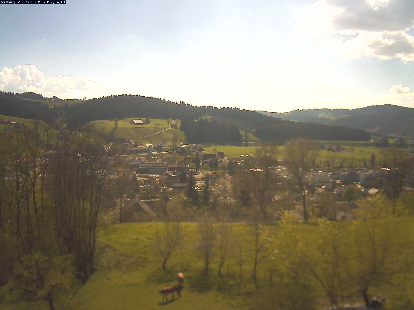 Webcam-Bild: Aussicht vom Dorfberg in Langnau 20170410-160601