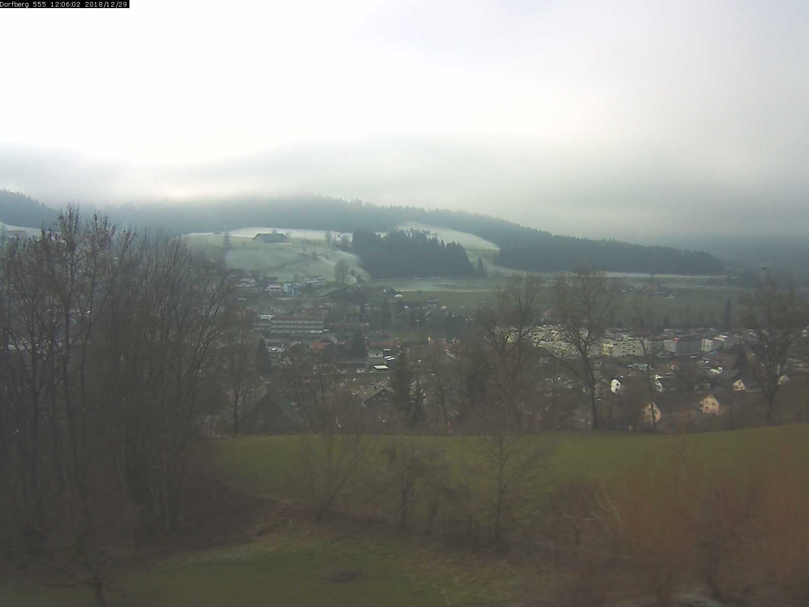 Webcam-Bild: Aussicht vom Dorfberg in Langnau 20181229-120601