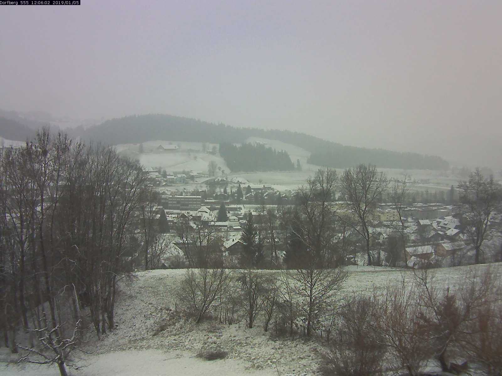 Webcam-Bild: Aussicht vom Dorfberg in Langnau 20190105-120601