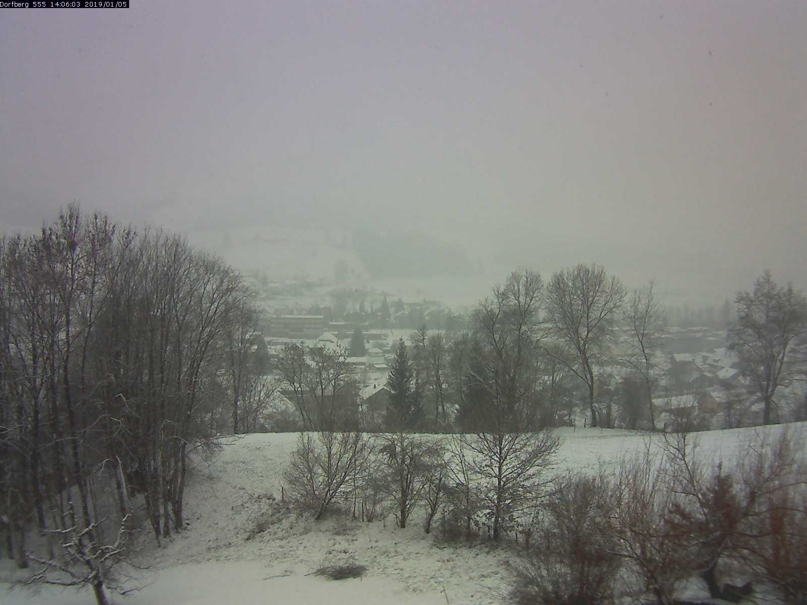 Webcam-Bild: Aussicht vom Dorfberg in Langnau 20190105-140601
