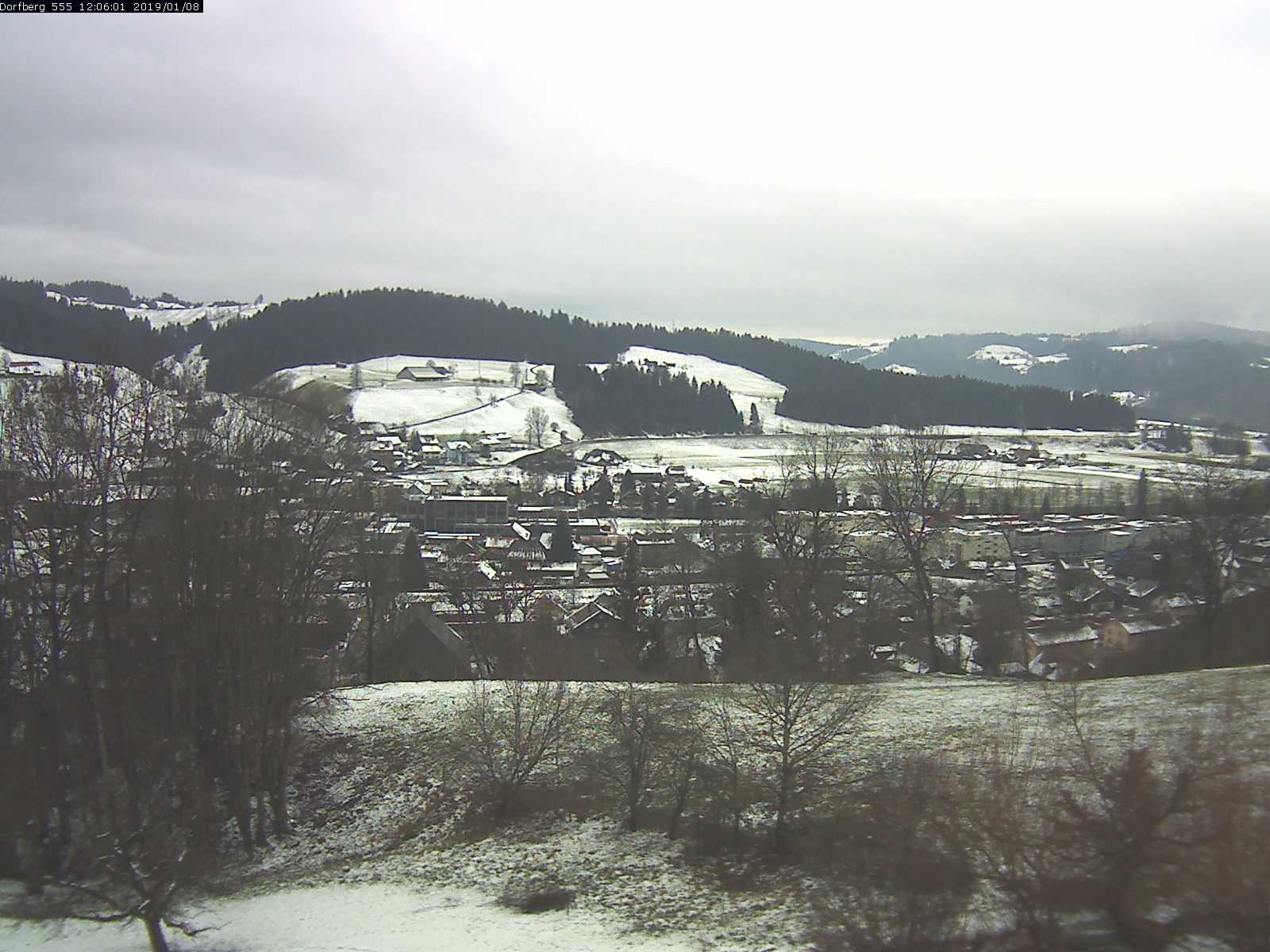 Webcam-Bild: Aussicht vom Dorfberg in Langnau 20190108-120601