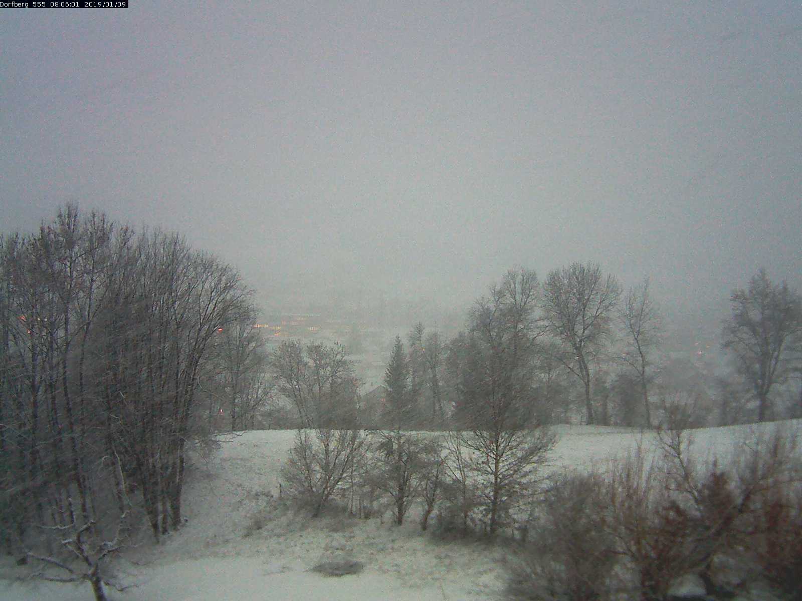 Webcam-Bild: Aussicht vom Dorfberg in Langnau 20190109-080601