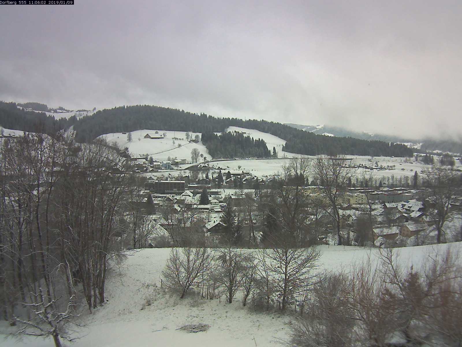 Webcam-Bild: Aussicht vom Dorfberg in Langnau 20190109-110601