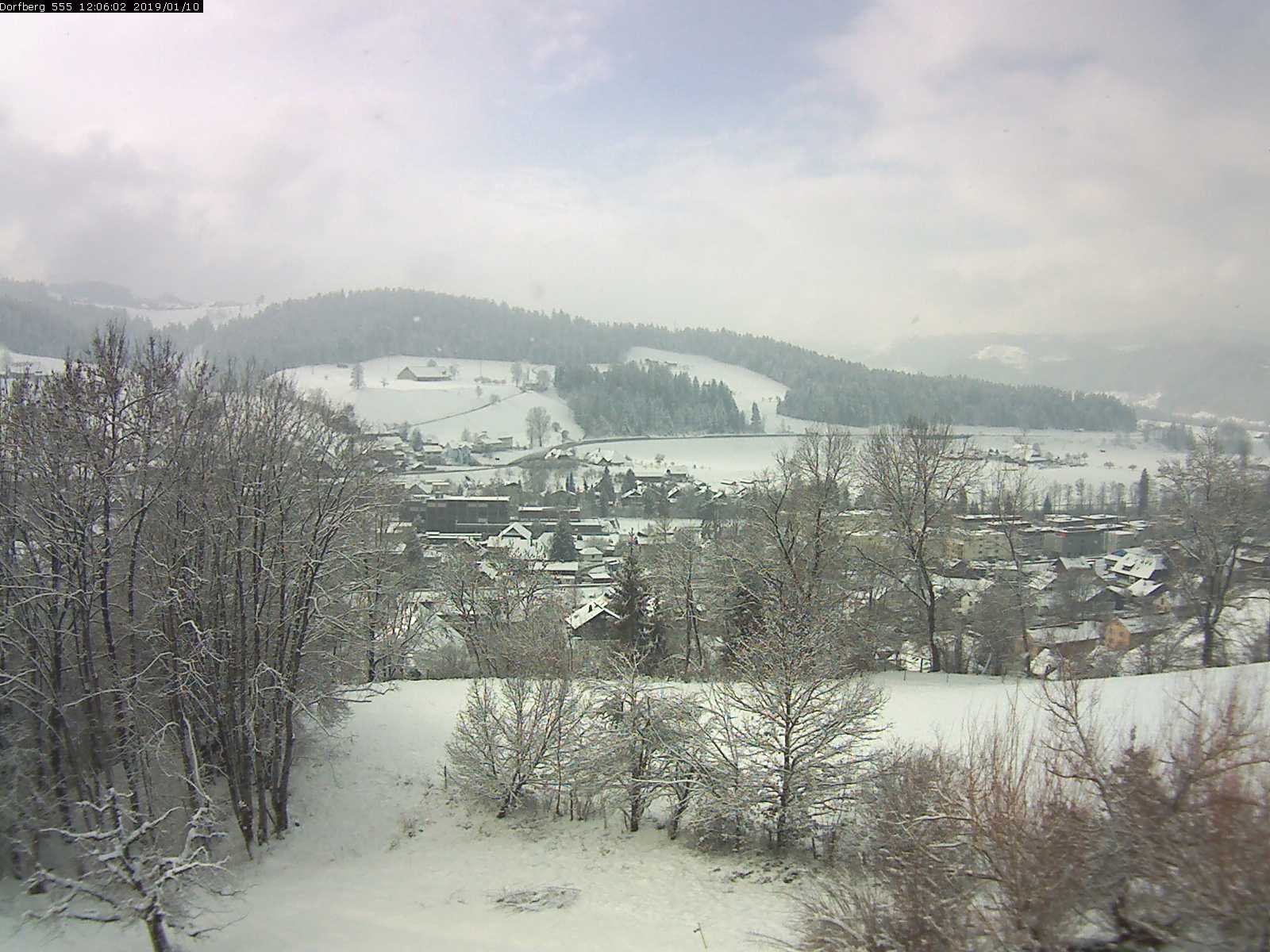 Webcam-Bild: Aussicht vom Dorfberg in Langnau 20190110-120601