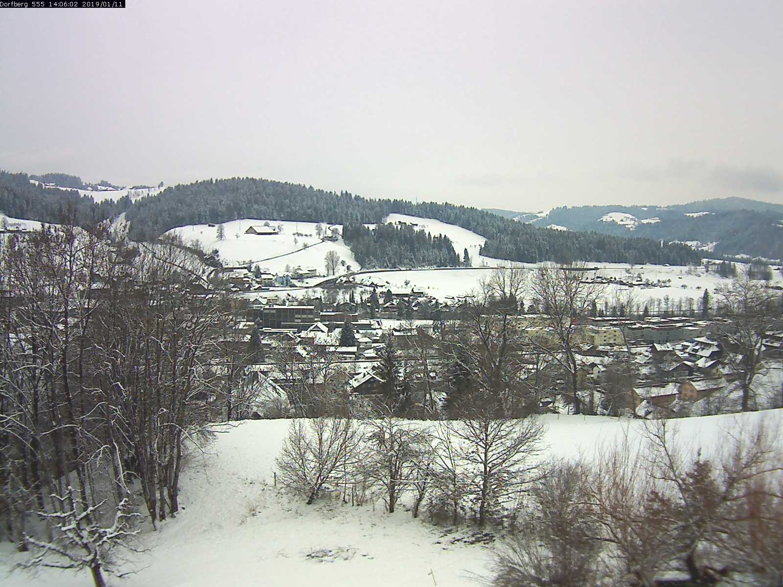 Webcam-Bild: Aussicht vom Dorfberg in Langnau 20190111-140601