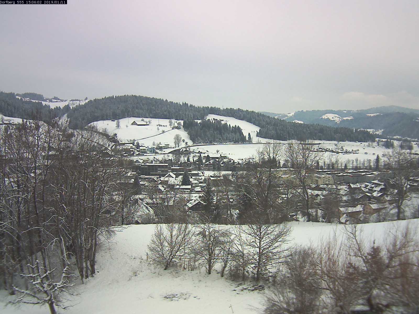 Webcam-Bild: Aussicht vom Dorfberg in Langnau 20190111-150601