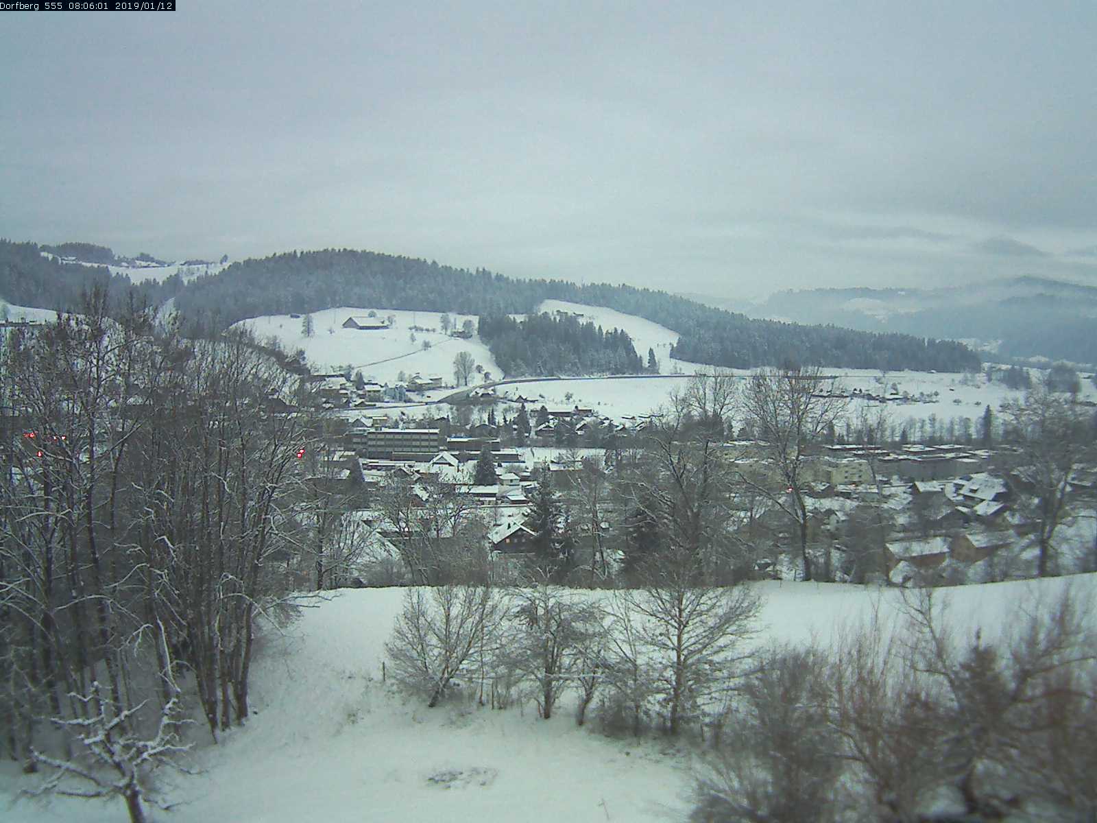 Webcam-Bild: Aussicht vom Dorfberg in Langnau 20190112-080601