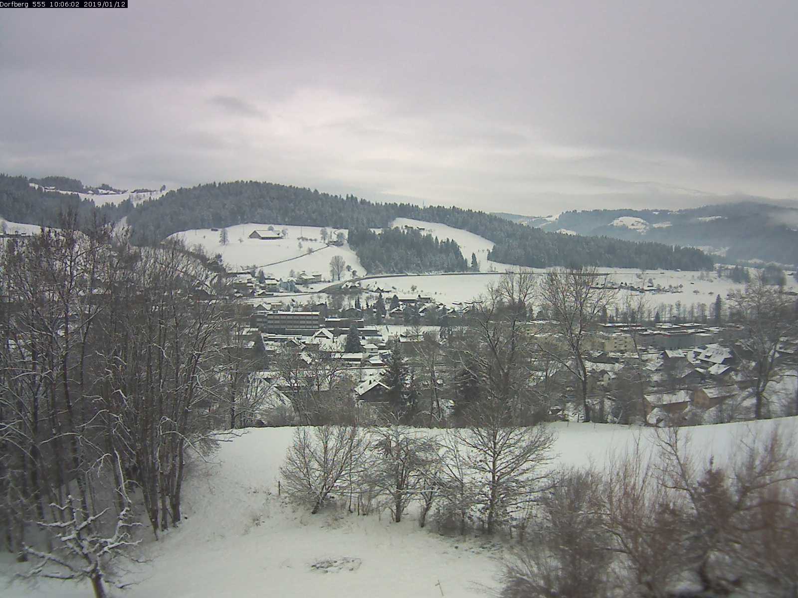 Webcam-Bild: Aussicht vom Dorfberg in Langnau 20190112-100601
