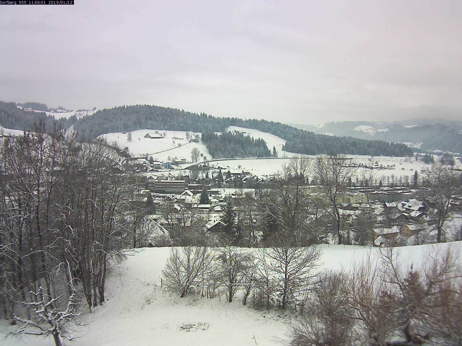 Webcam-Bild: Aussicht vom Dorfberg in Langnau 20190112-110601