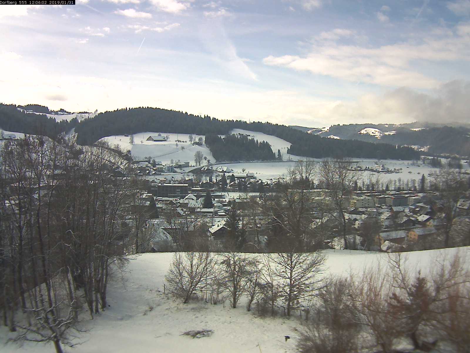 Webcam-Bild: Aussicht vom Dorfberg in Langnau 20190131-120601