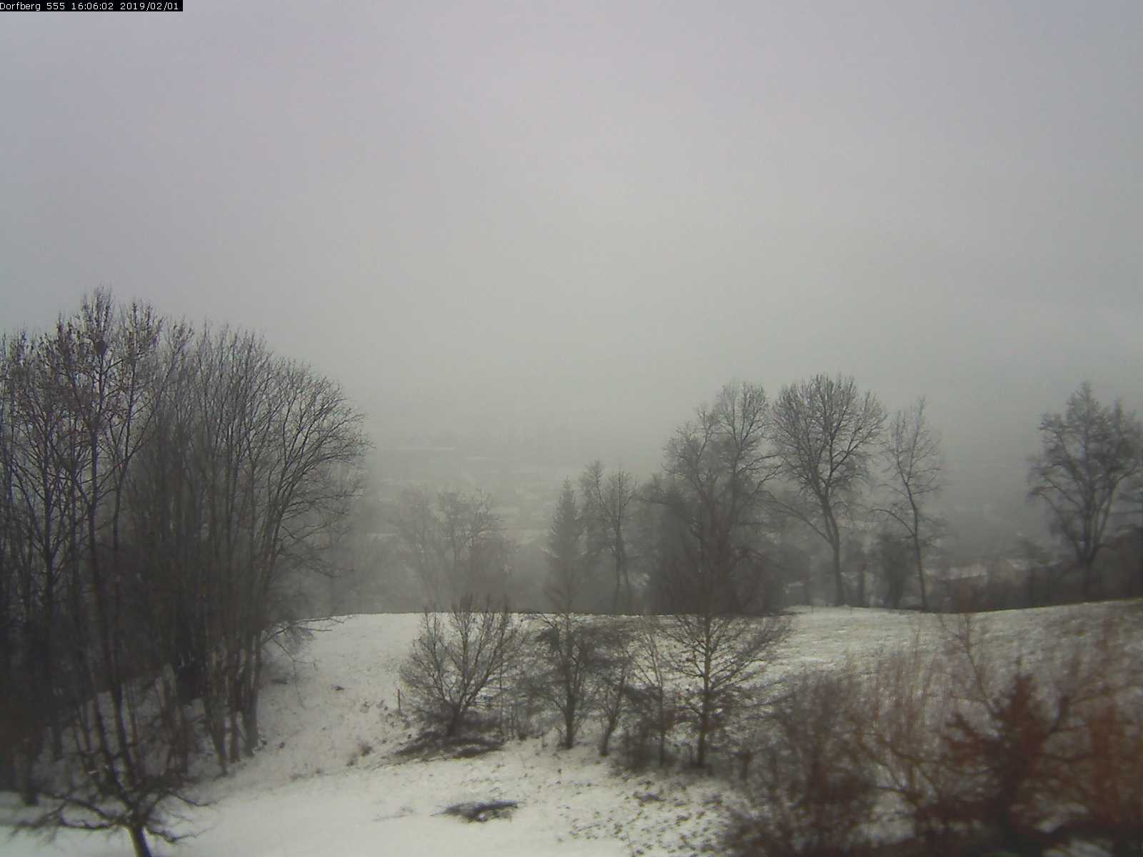 Webcam-Bild: Aussicht vom Dorfberg in Langnau 20190201-160601