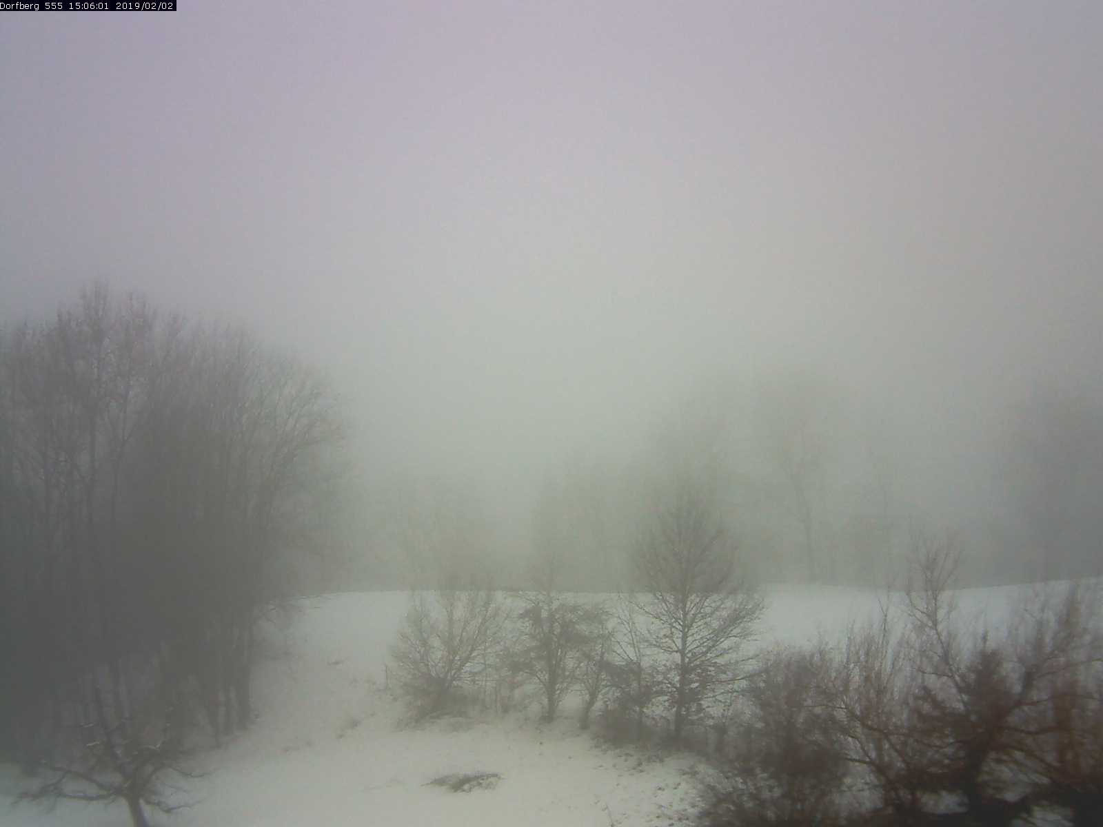 Webcam-Bild: Aussicht vom Dorfberg in Langnau 20190202-150601