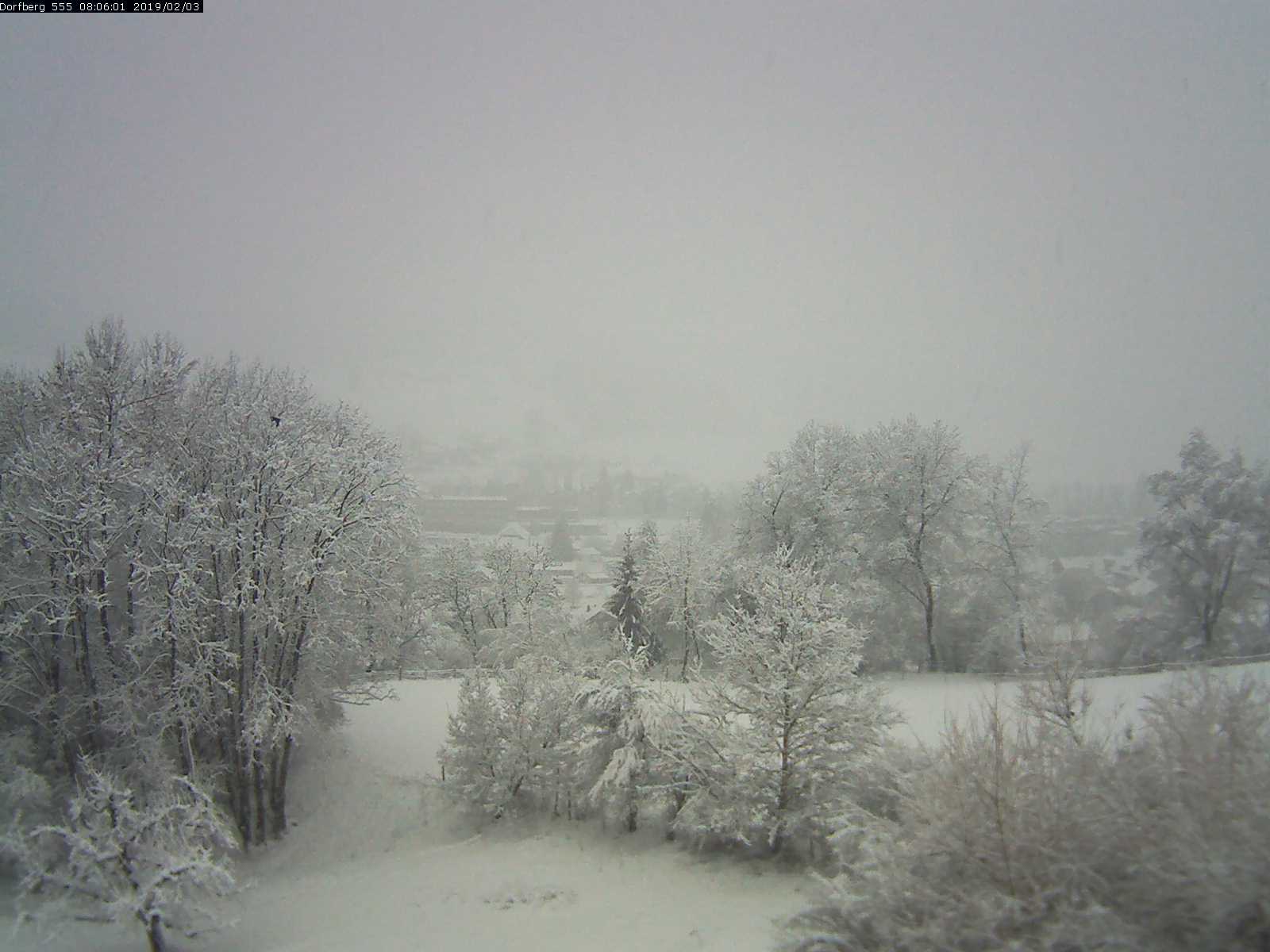 Webcam-Bild: Aussicht vom Dorfberg in Langnau 20190203-080601