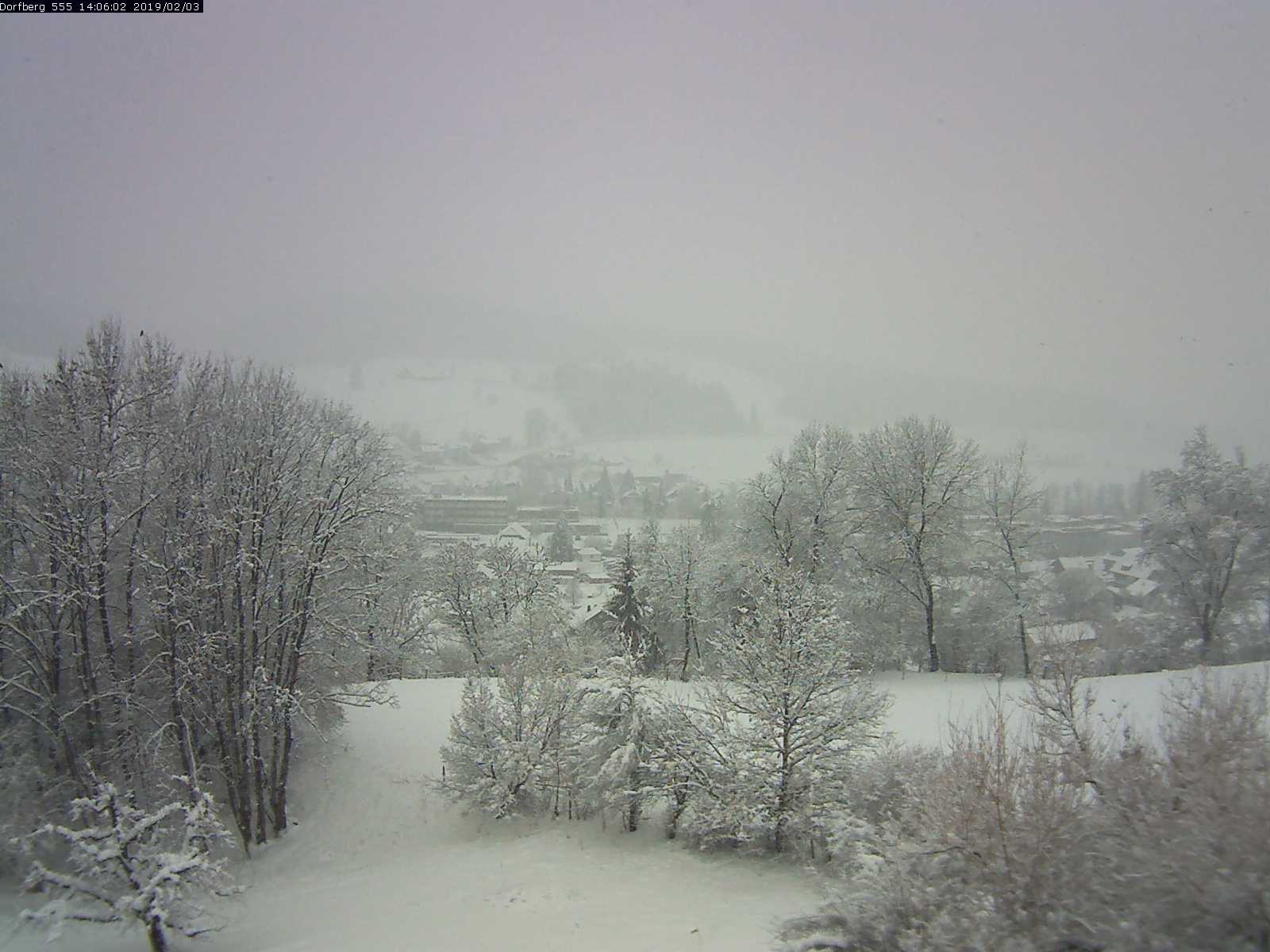 Webcam-Bild: Aussicht vom Dorfberg in Langnau 20190203-140602