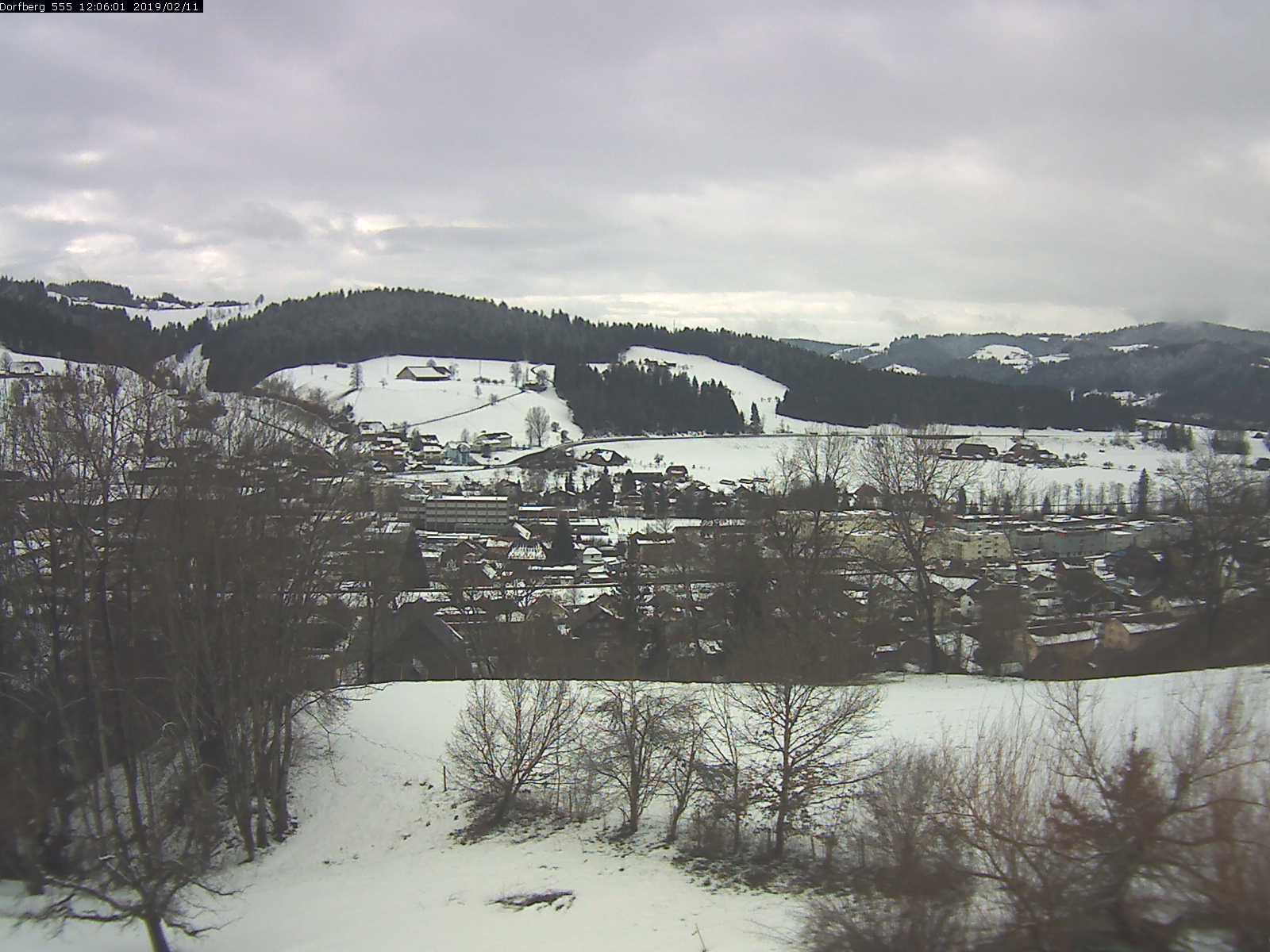 Webcam-Bild: Aussicht vom Dorfberg in Langnau 20190211-120601
