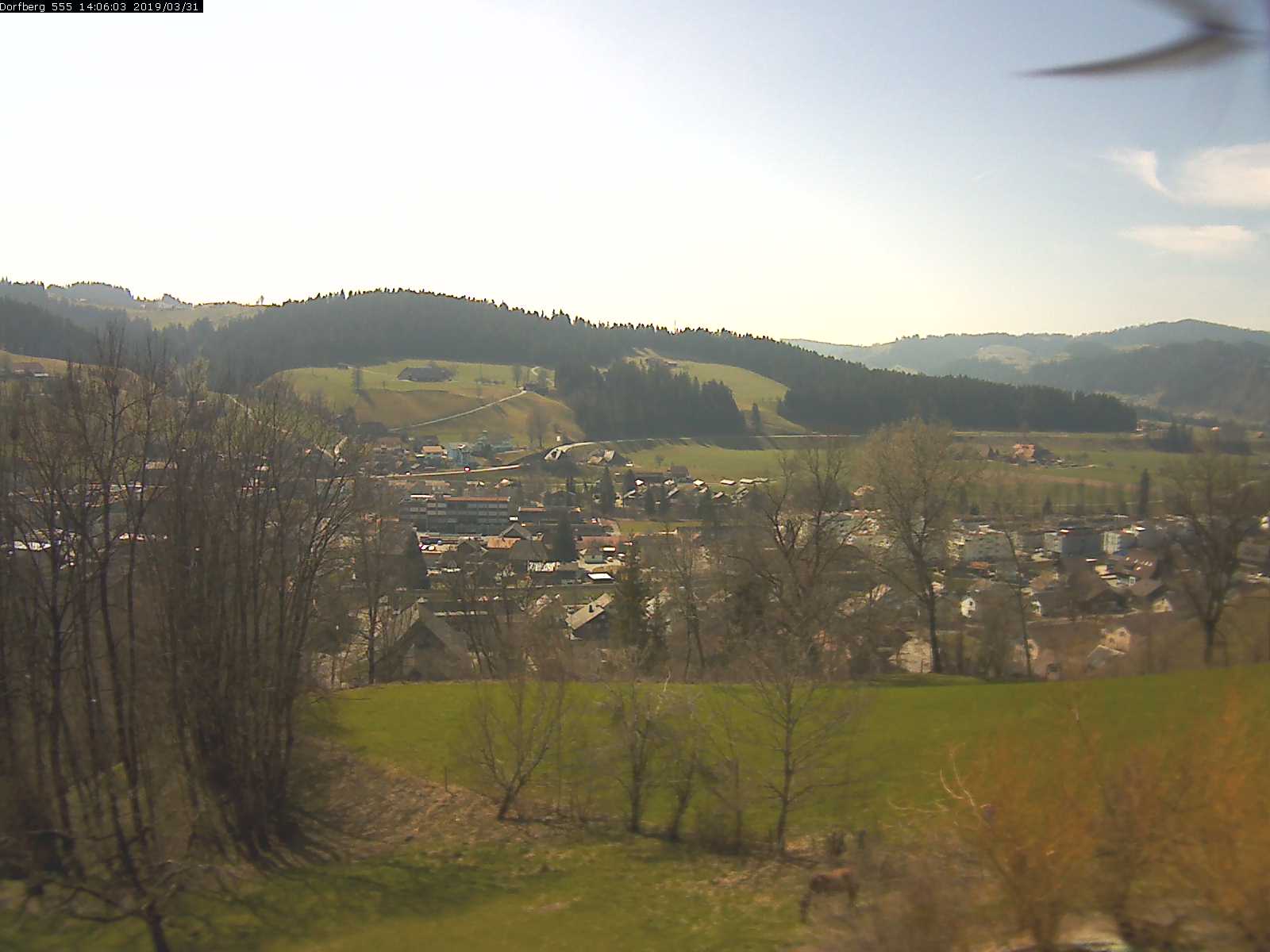 Webcam-Bild: Aussicht vom Dorfberg in Langnau 20190331-140601