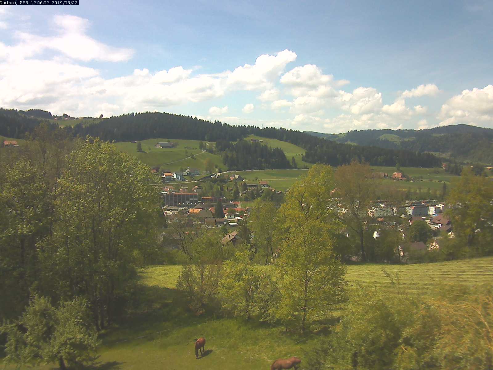 Webcam-Bild: Aussicht vom Dorfberg in Langnau 20190522-120601