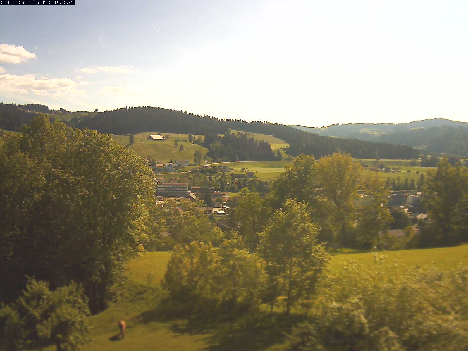 Webcam-Bild: Aussicht vom Dorfberg in Langnau 20190531-170601
