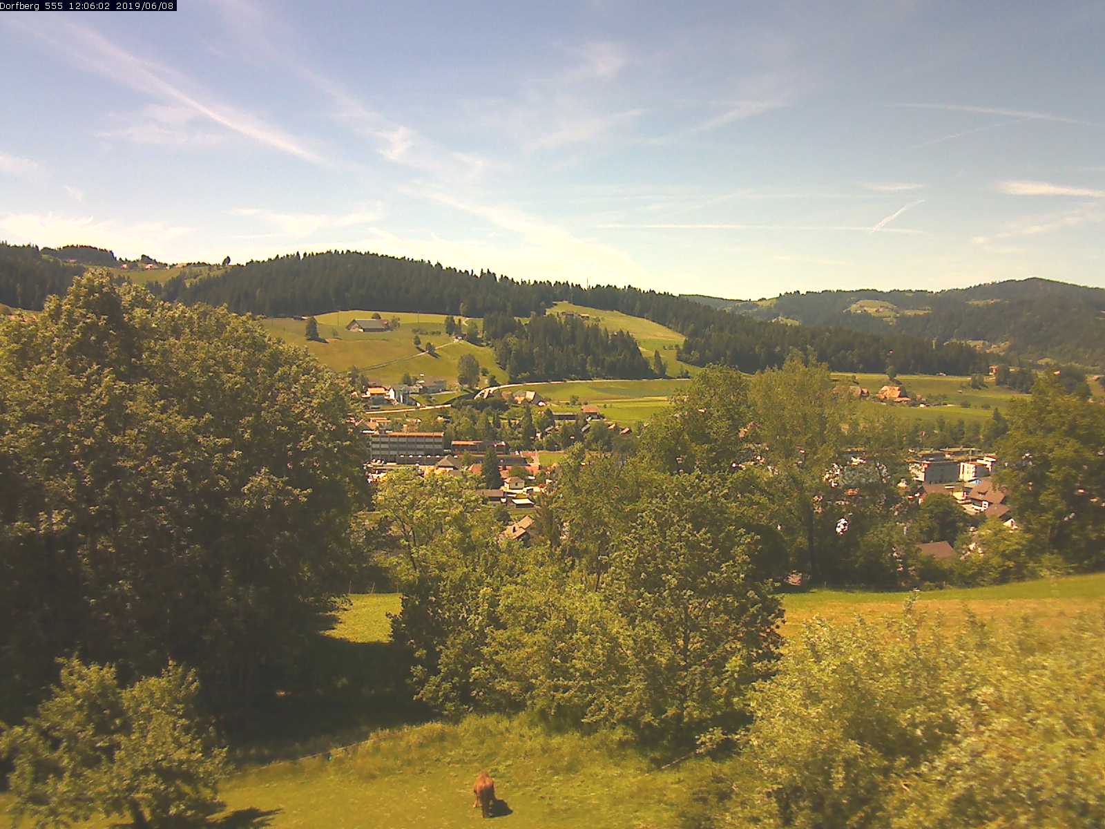 Webcam-Bild: Aussicht vom Dorfberg in Langnau 20190608-120601