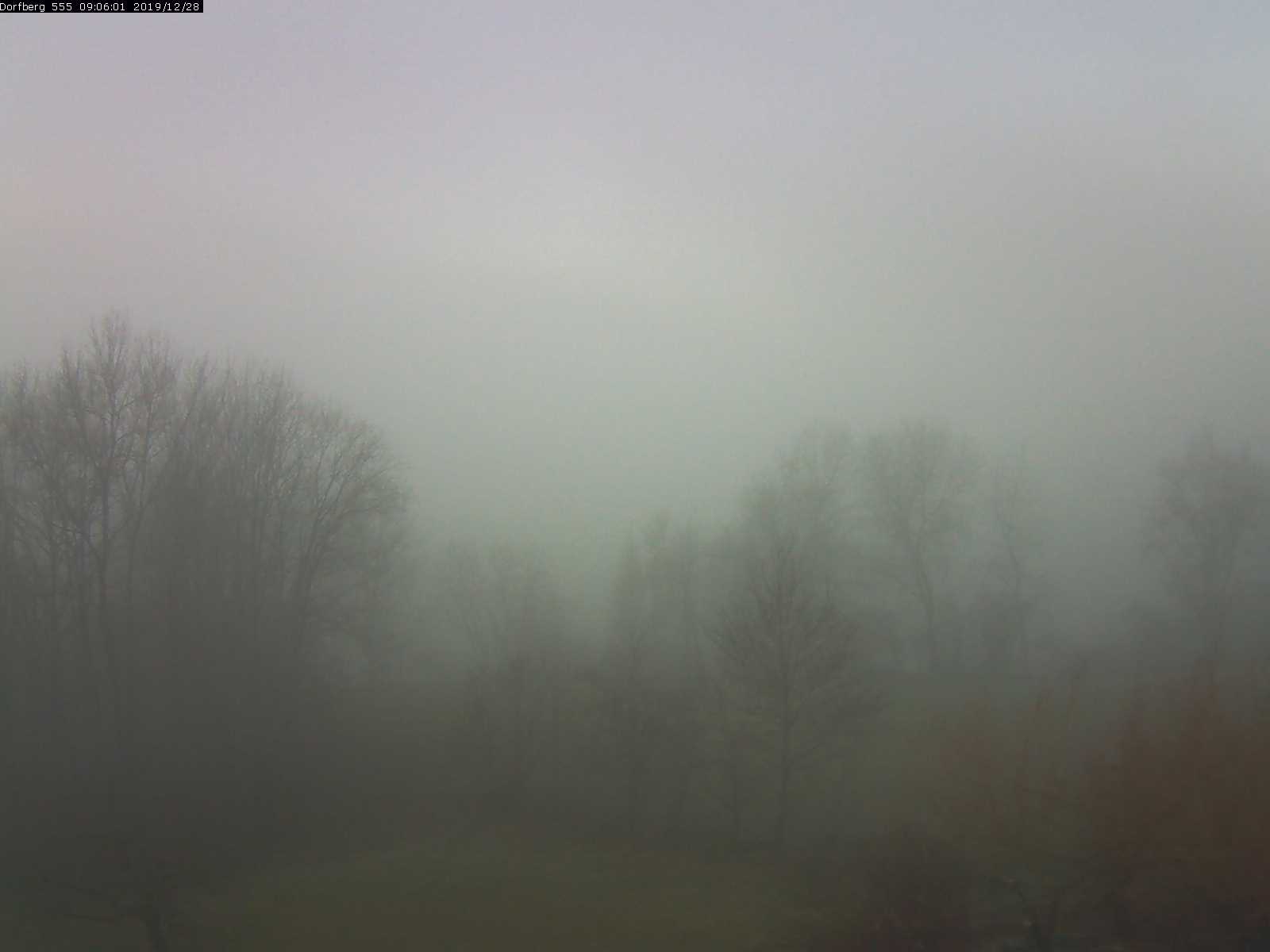 Webcam-Bild: Aussicht vom Dorfberg in Langnau 20191228-090601