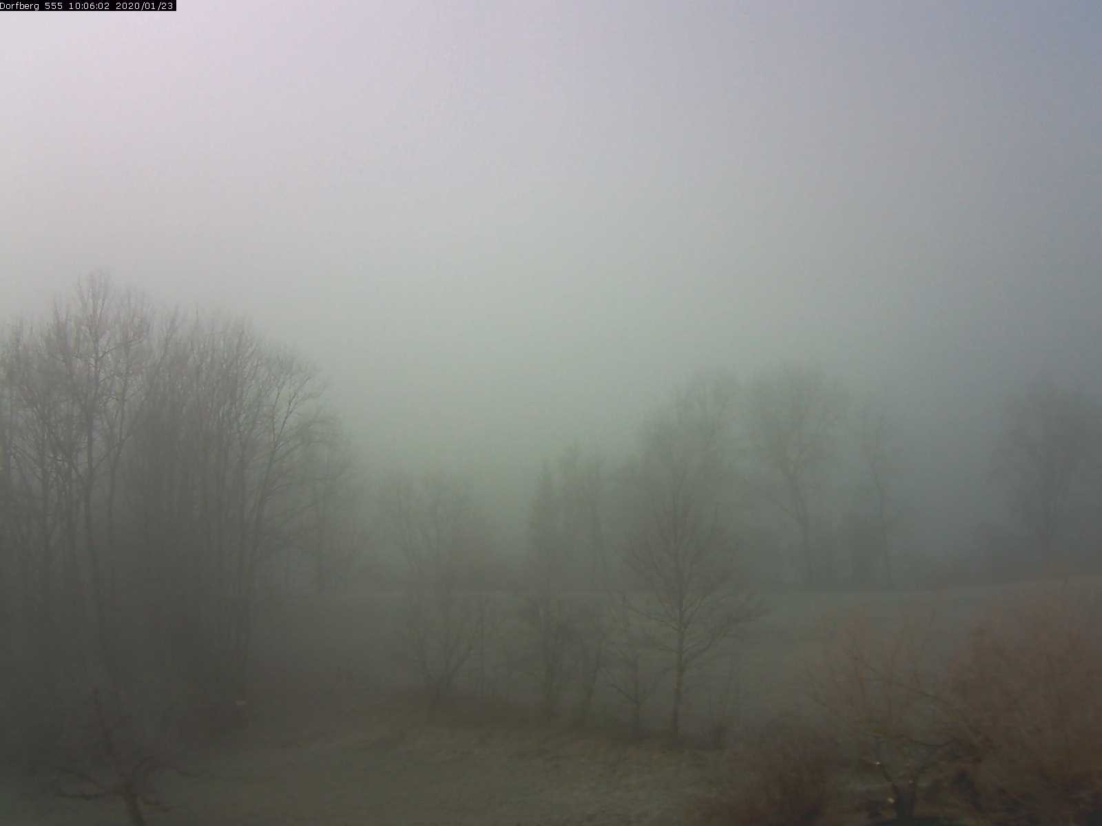 Webcam-Bild: Aussicht vom Dorfberg in Langnau 20200123-100601