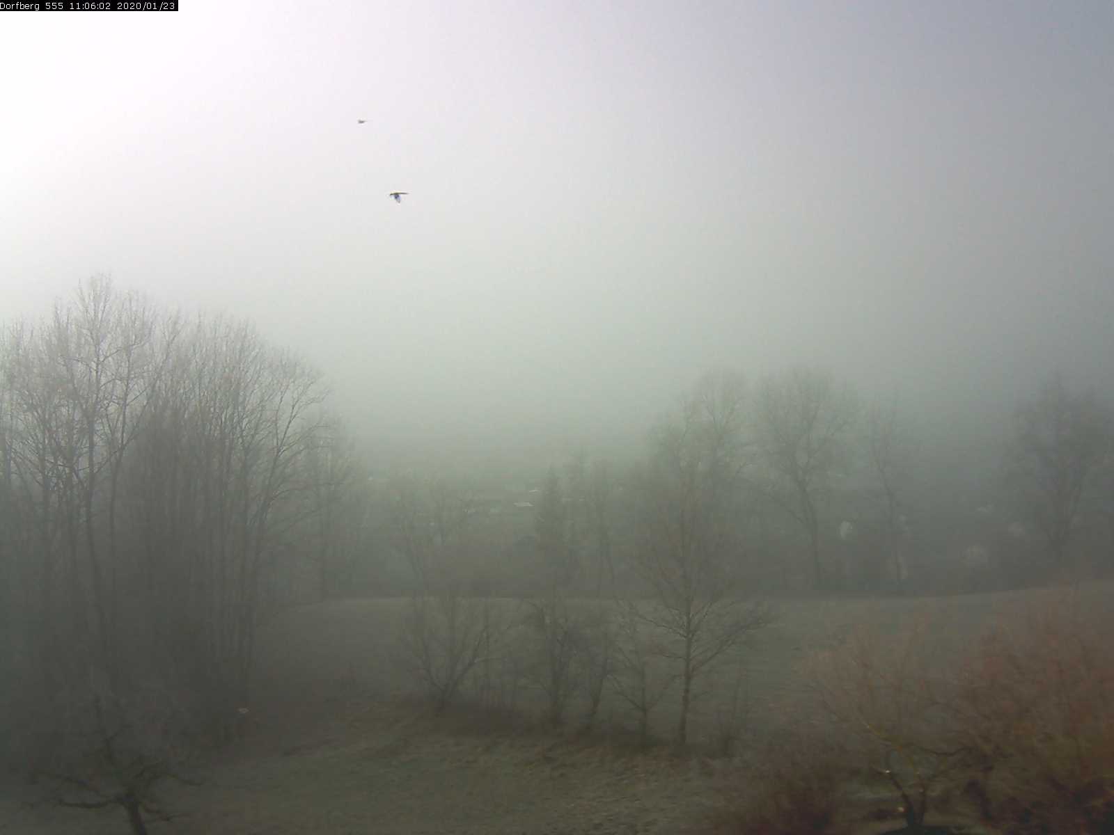Webcam-Bild: Aussicht vom Dorfberg in Langnau 20200123-110601