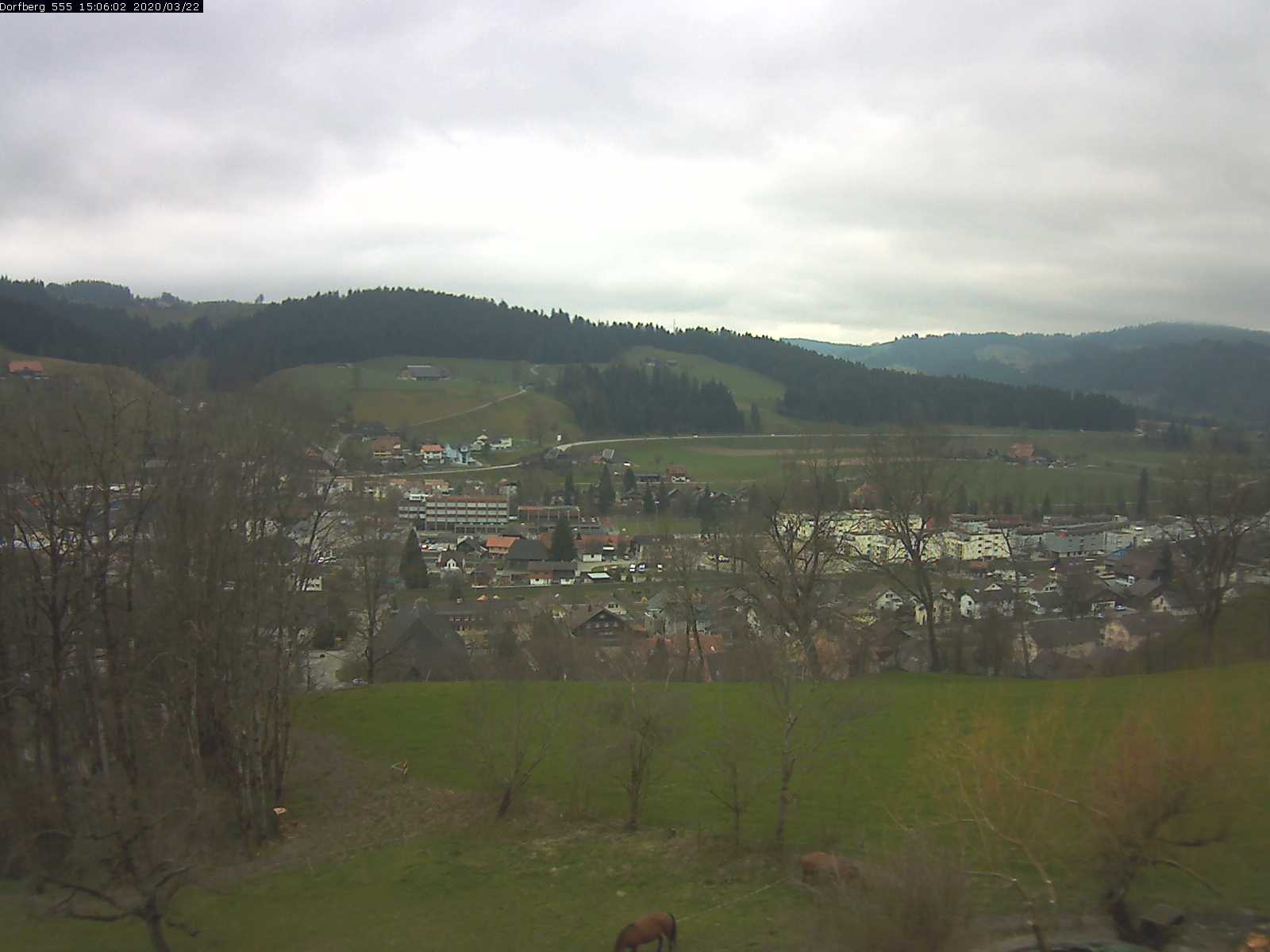 Webcam-Bild: Aussicht vom Dorfberg in Langnau 20200322-150601