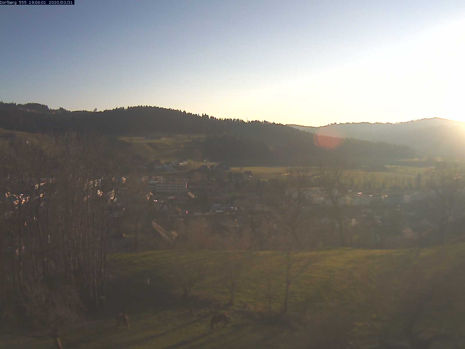 Webcam-Bild: Aussicht vom Dorfberg in Langnau 20200331-190601