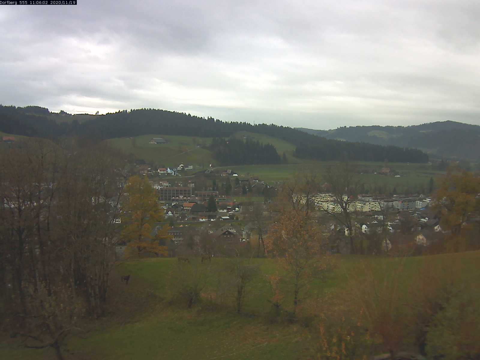 Webcam-Bild: Aussicht vom Dorfberg in Langnau 20201119-110601