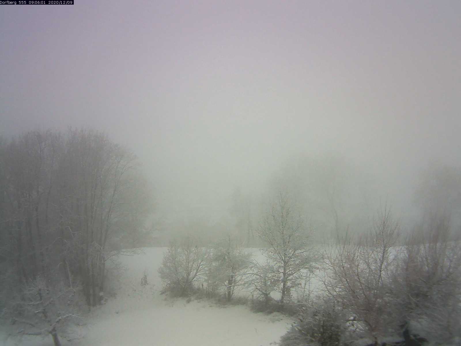 Webcam-Bild: Aussicht vom Dorfberg in Langnau 20201209-090601
